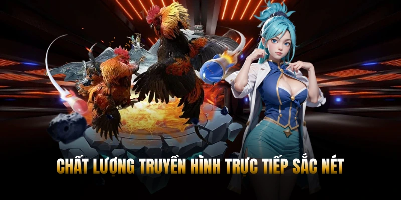 Chất lượng hình ảnh sắc nét