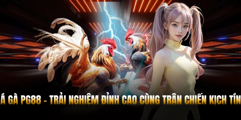Đá Gà PG88 – Thưởng Thức Trận Chiến Nghẹt Thở Mỗi Ngày