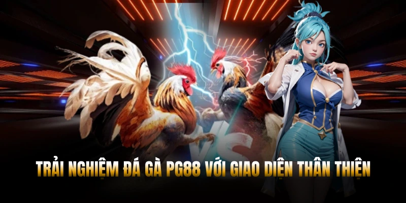 Trải nghiệm đá gà PG88 với giao diện thân thiện